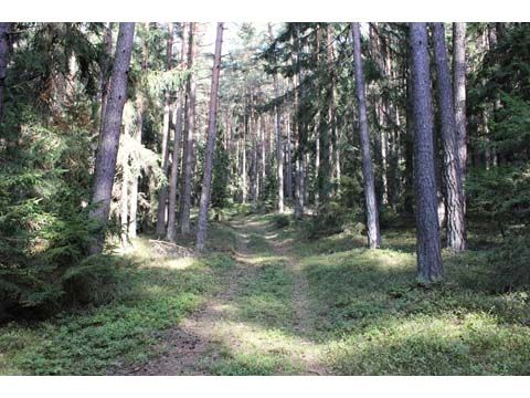 Foto 16
